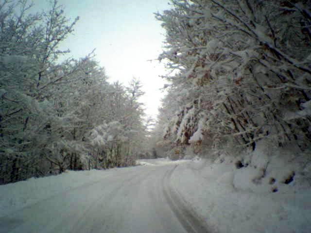 neve.jpg