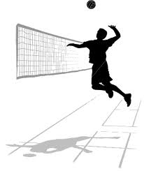 volley.jpg